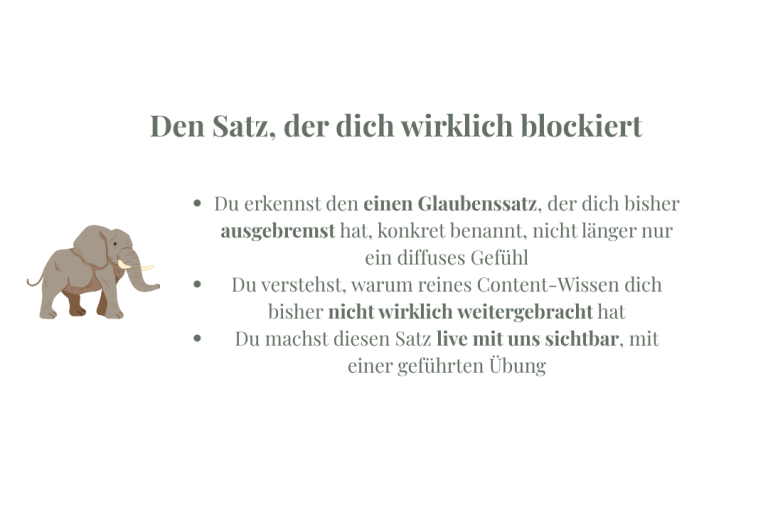 Elefantenanalyse